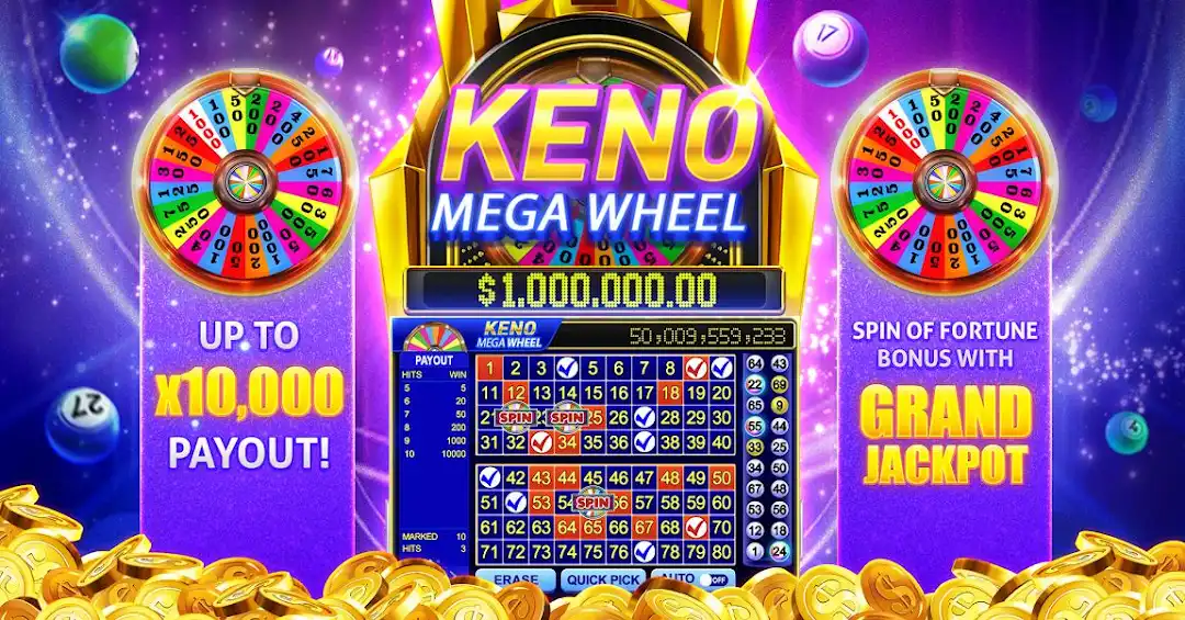 bet74 bet365 brasil cassino iOS